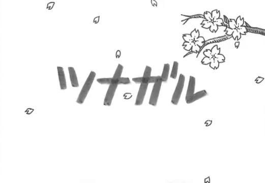 Imagem de destaque 3