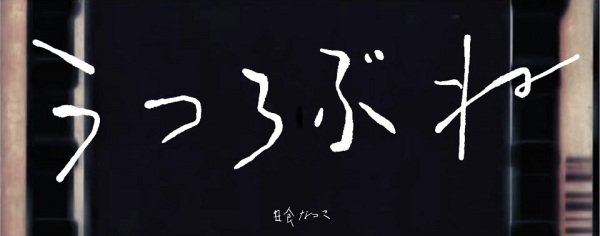 Imagem de destaque 5