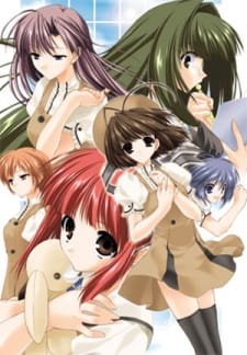 Imagem de destaque 3