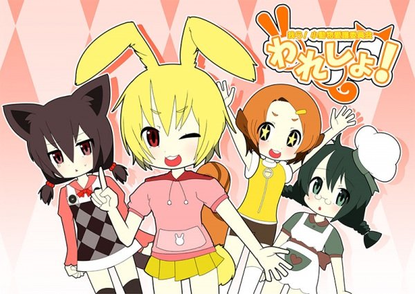 Imagem de destaque 4