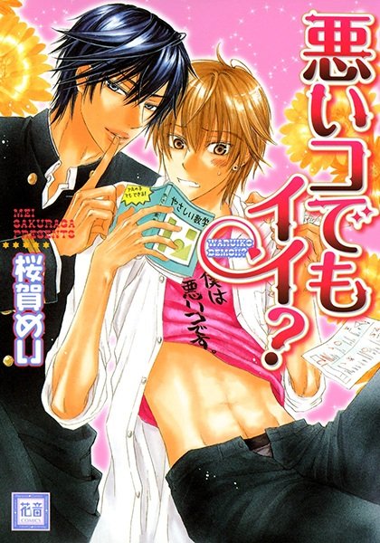 Imagem de destaque 5