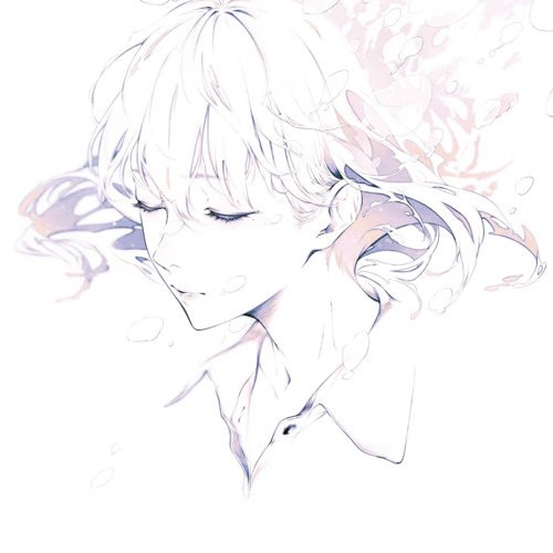 Imagem de destaque 3