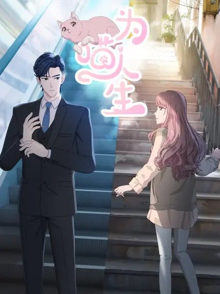 Imagem de destaque 5