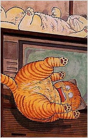 Imagem de destaque 3