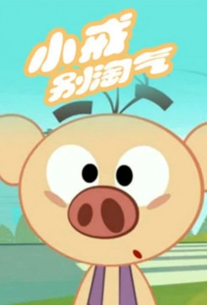 Imagem de destaque 5