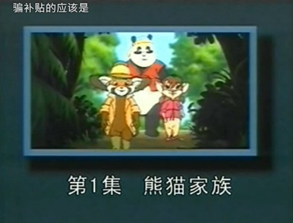 Imagem de destaque 5