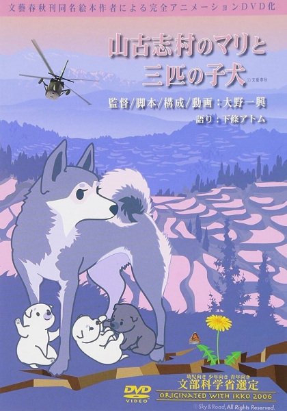 Imagem de destaque 3