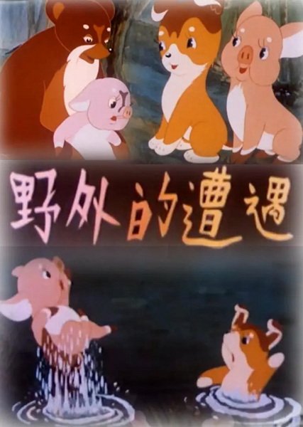 Imagem de destaque 2