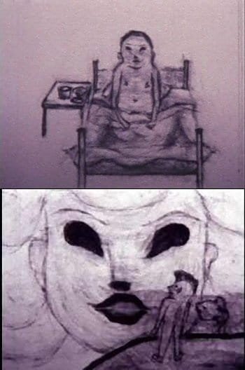 Imagem de destaque 5