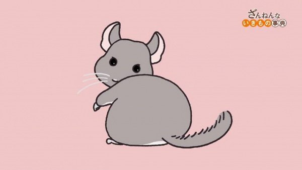 Imagem de destaque 2