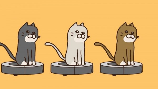 Imagem de destaque 2