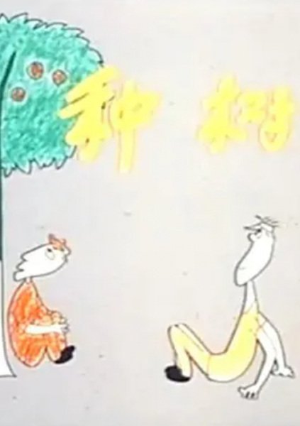 Imagem de destaque 5