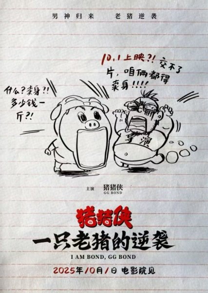 Imagem de destaque 4