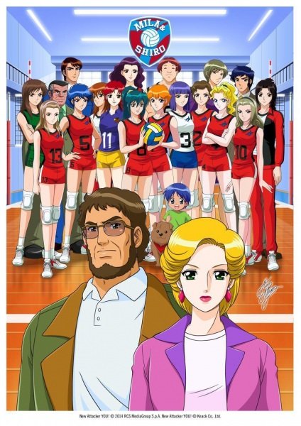 Imagem de destaque 5